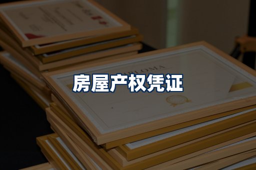 身份信息卡系列