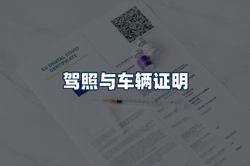 车辆证明展示